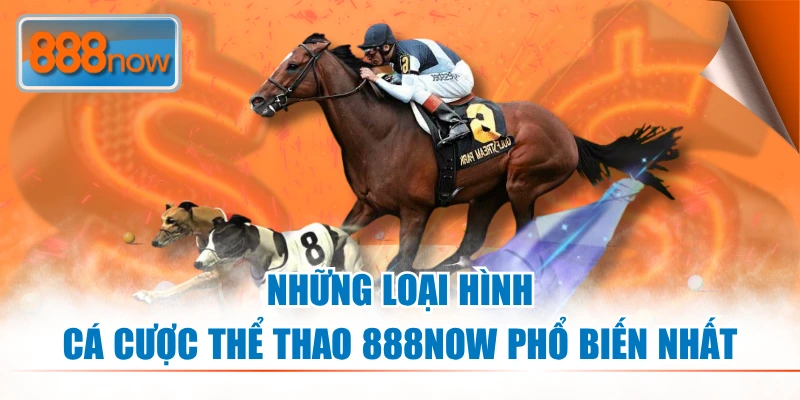 Những loại hình cá cược thể thao 888NOW phổ biến nhất