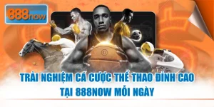 Trải Nghiệm Cá Cược Thể Thao Đỉnh Cao Tại 888NOW Mỗi Ngày